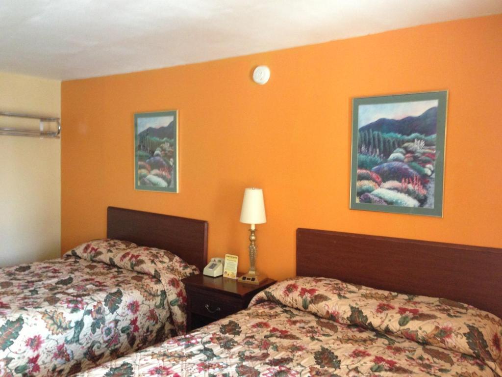 Cadet Motor Inn - Coldwater Zimmer foto