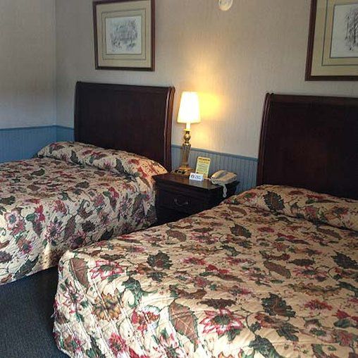 Cadet Motor Inn - Coldwater Zimmer foto